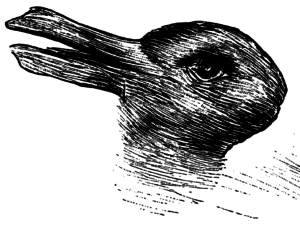 The duck rabbit.